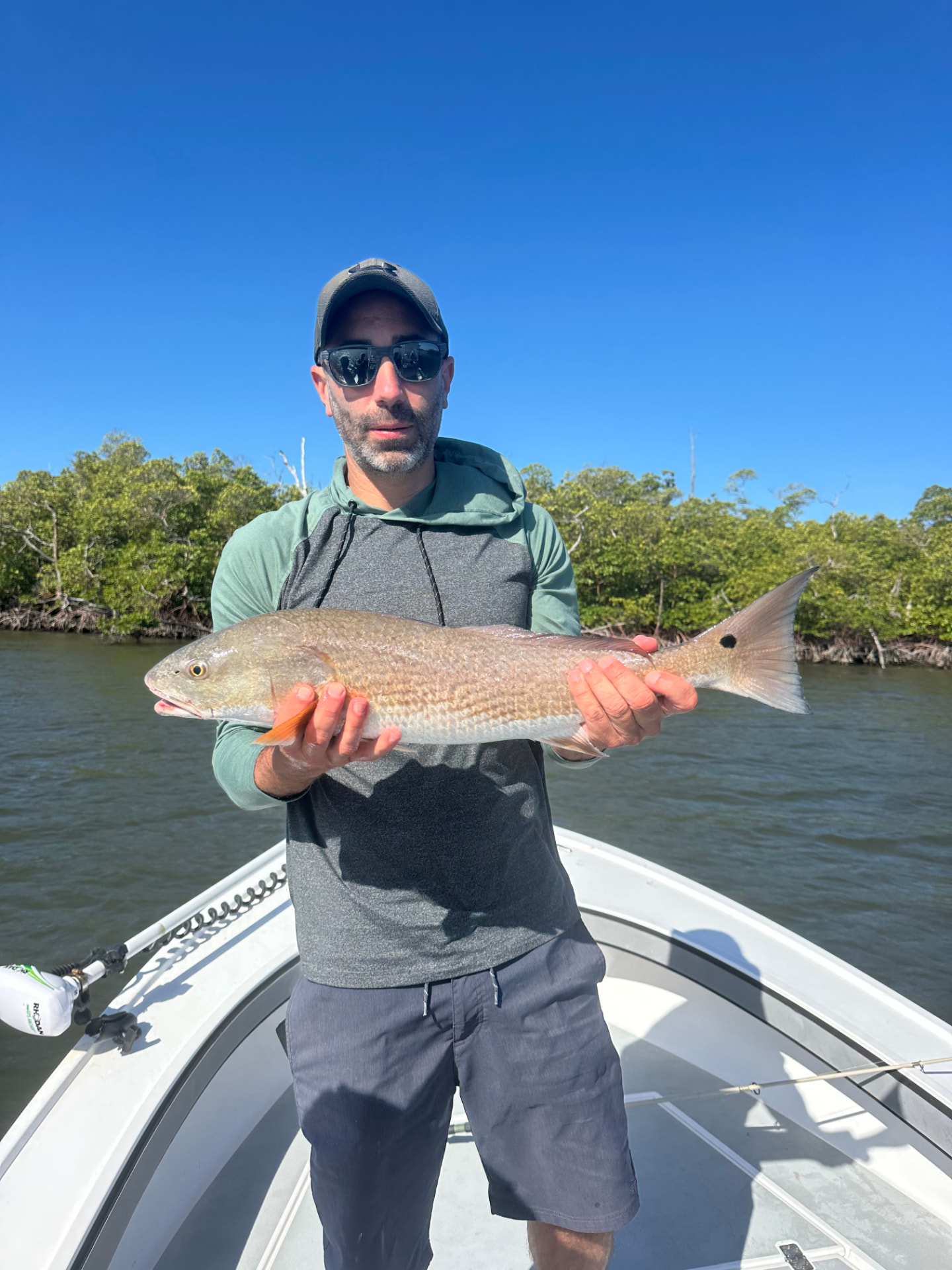 Redfish caught along the Naples mangroves