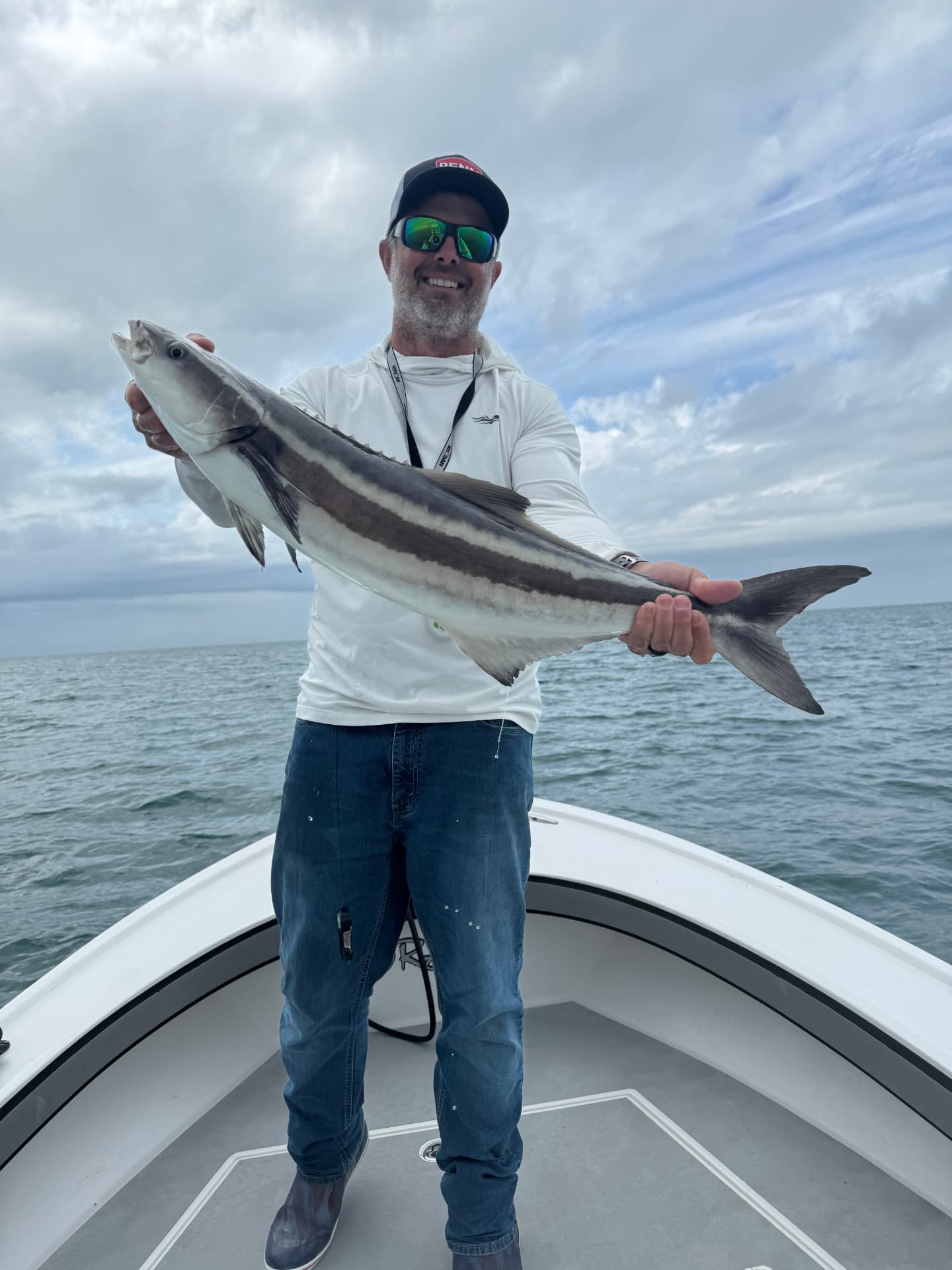 Cobia caught on a Naples nearshore fishing charter