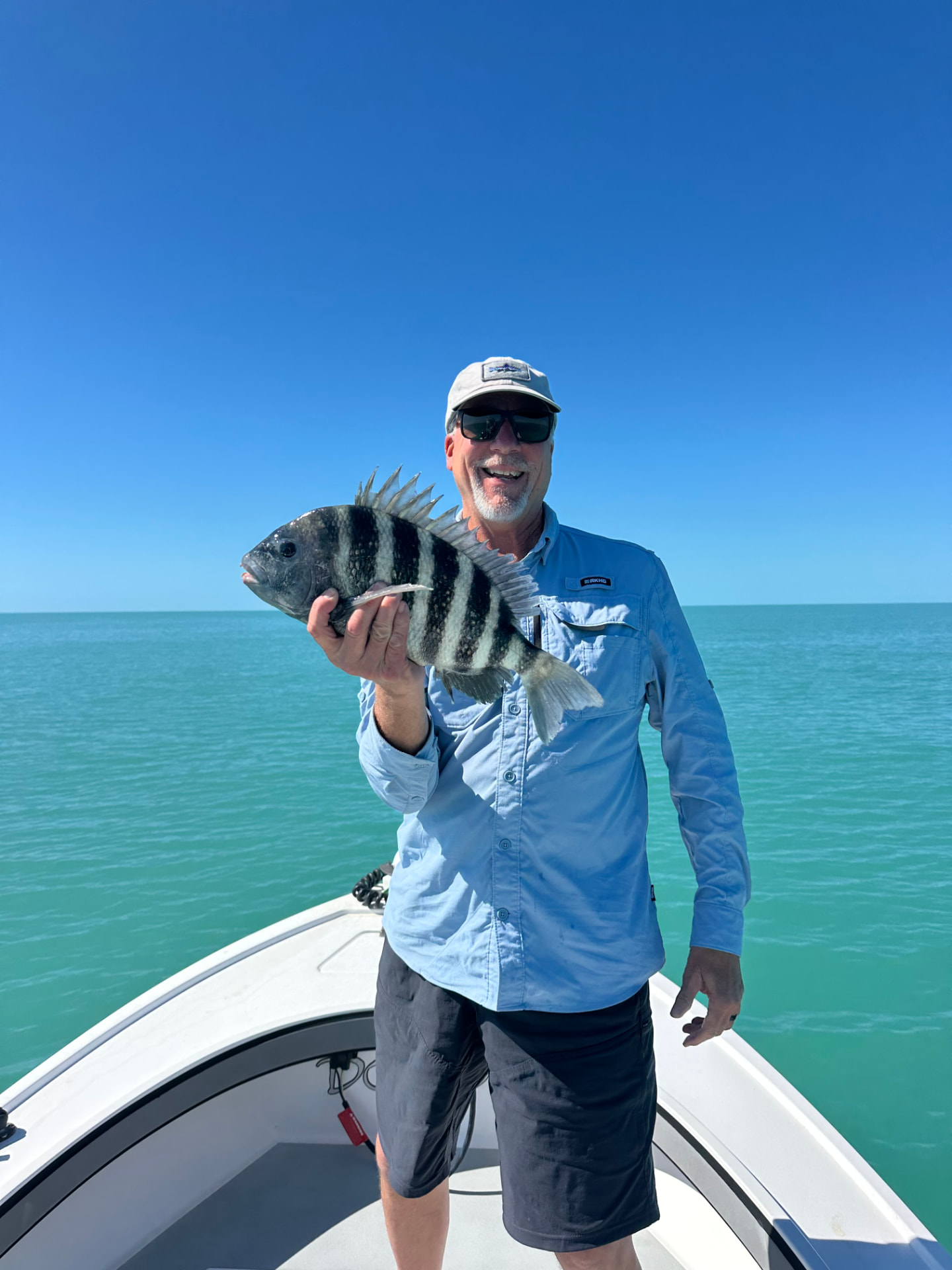 Sheepshead caught on a Naples nearshore charter