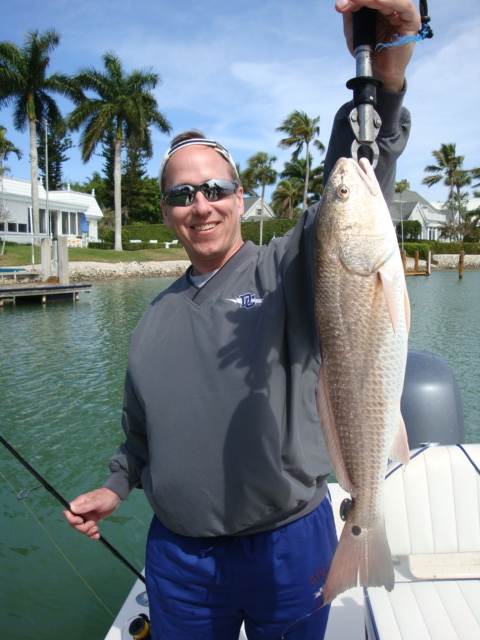 Naples redfish caught on a backwater charter